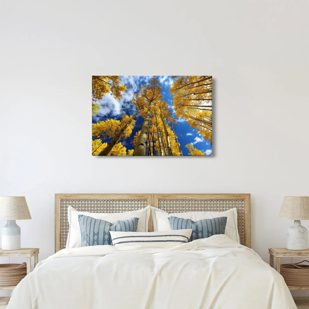 Obraz - Aspen (90x60 cm)