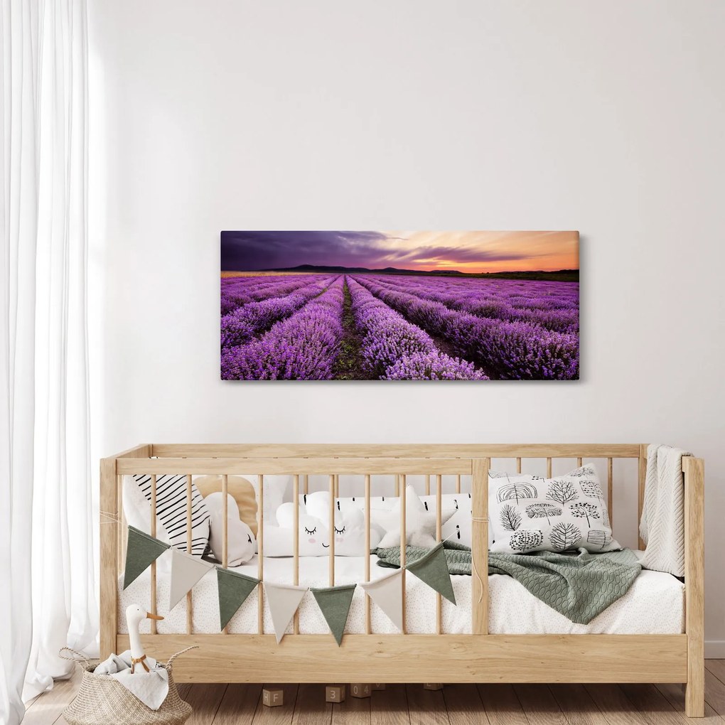 Obraz - Levanduľové pole pri západe slnka (120x50 cm)