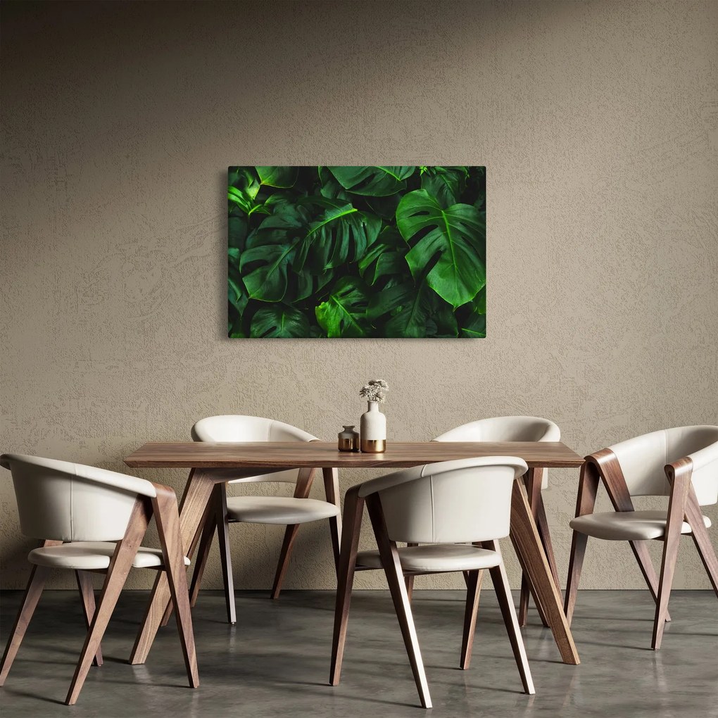 Obraz listov Monstery (90x60 cm)