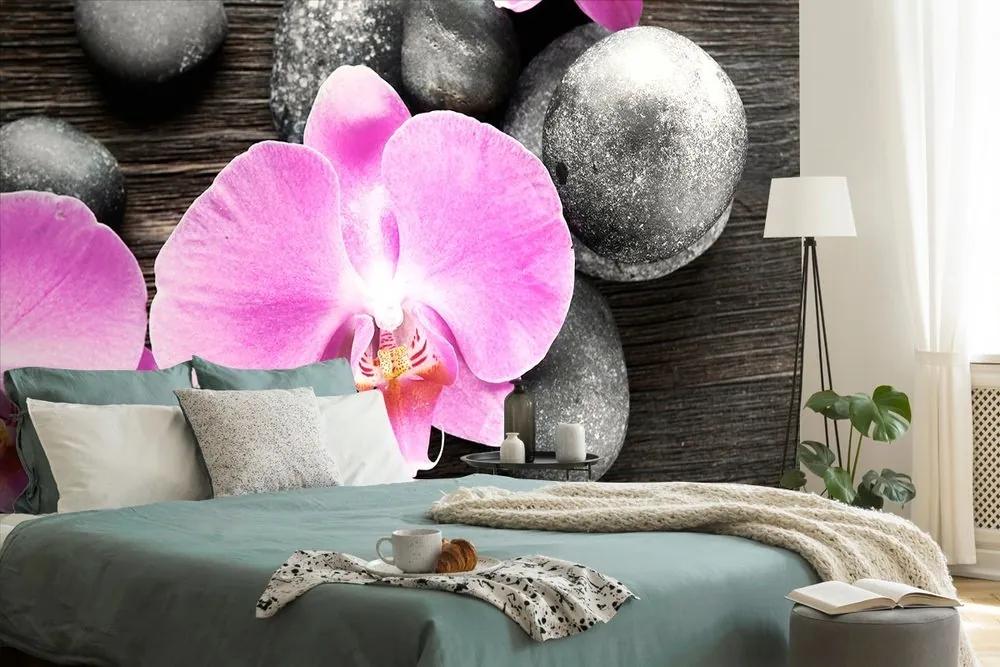 Fototapeta nádherná orchidea a kamene - 450x300