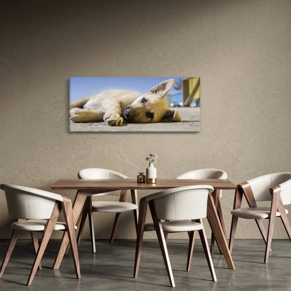Obraz ležiaceho šteňaťa (120x50 cm)