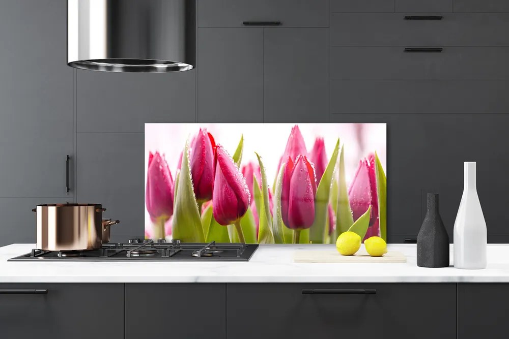 Sklenený obklad Do kuchyne Tulipány kvety rastlina 100x50 cm