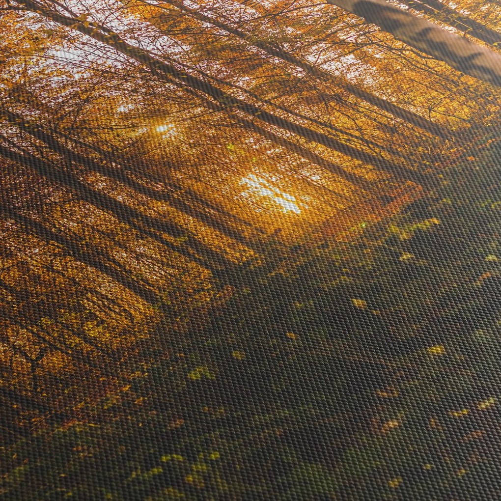 Obraz jesenného lesa (s hodinami) (90x30 cm)