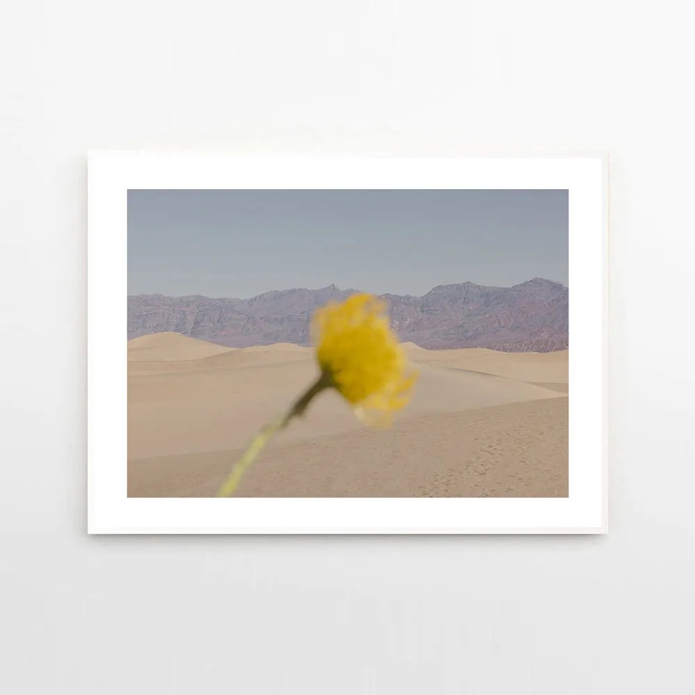 The Poster Club Plagát Desert Mirage by Nicole Mason 40x50 cm