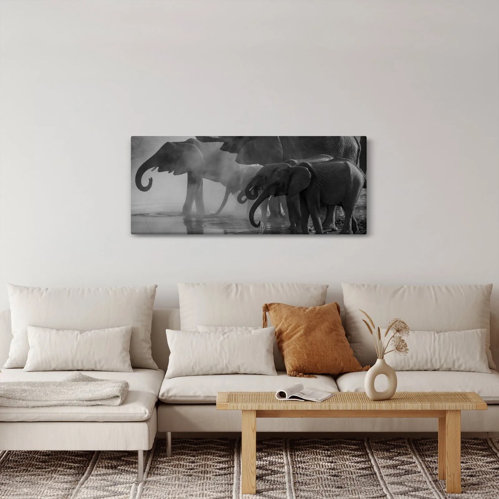 Obraz slonov - čiernobiely (120x50 cm)