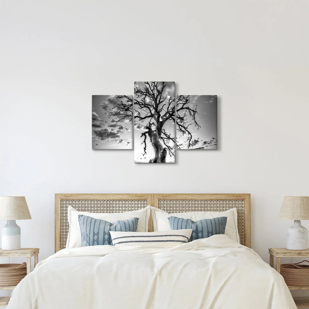 Obraz - Čiernobiely strom (90x60 cm)