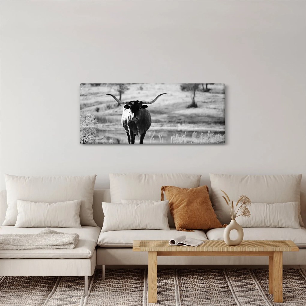 Obraz - Krava, čiernobiela (120x50 cm)