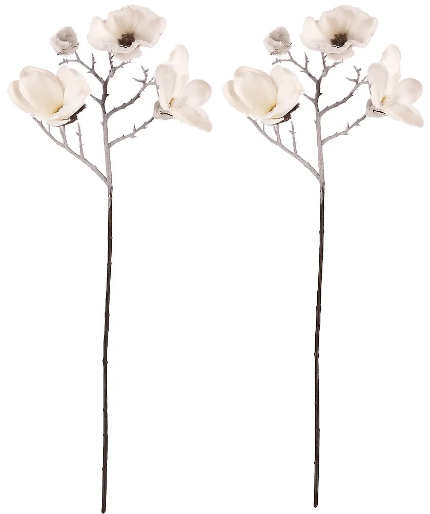 Set kvetov Magnólia, 2 ks, biela so zasnežením