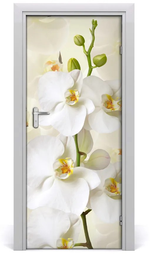 Fototapeta na dvere biela orchidea 75x205 cm