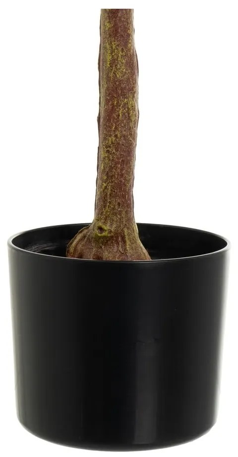 Umelý kvet Eucalyptus – Casa Selección