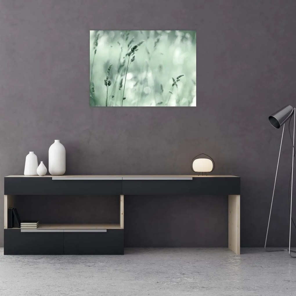 Obraz - Zelená lúka (70x50 cm)