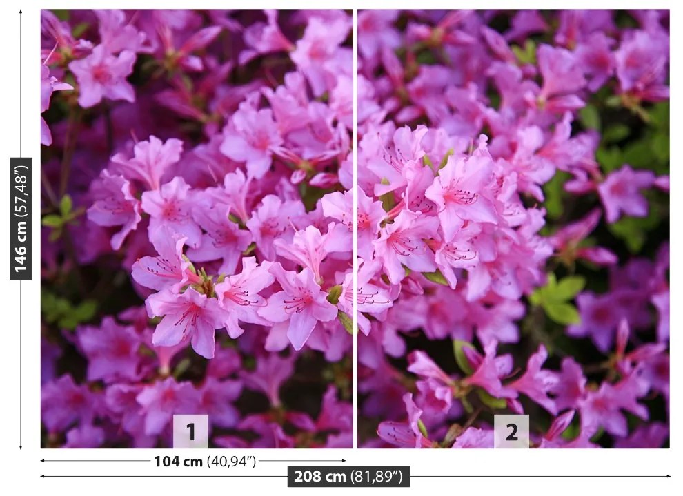 Fototapeta Vliesová Rhododendron ružový 104x70 cm