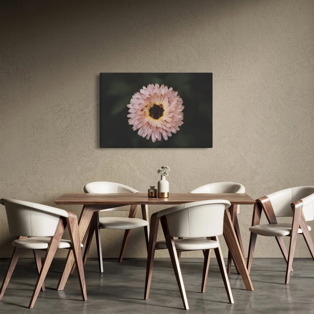 Obraz oranžovej kvetiny (90x60 cm)