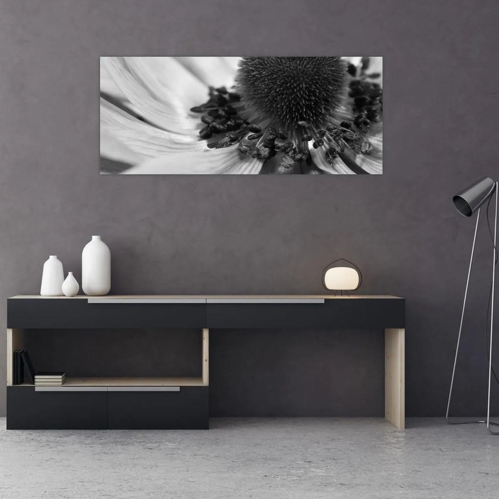 Obraz - Kvetina v čiernobielej (120x50 cm)