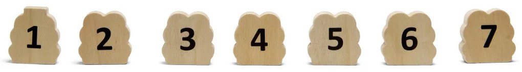 Balančný chodníček – lekná