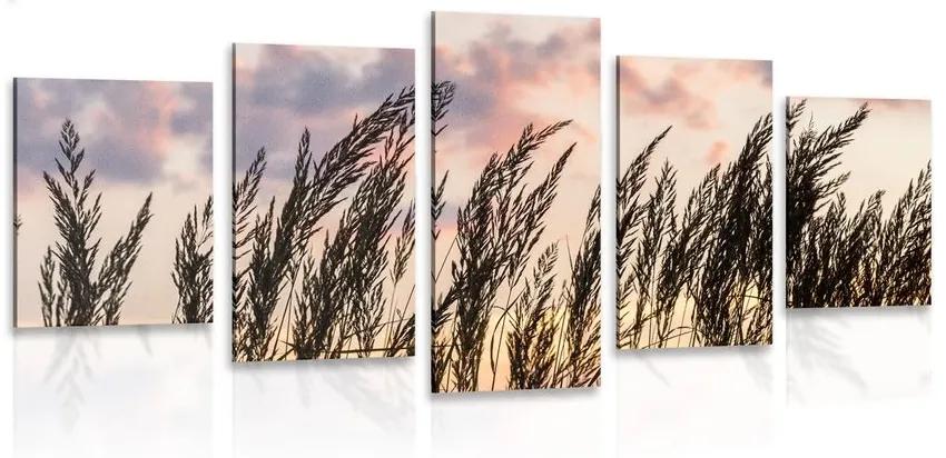 5-dielny obraz tráva pri zapadajúcom slnku - 100x50