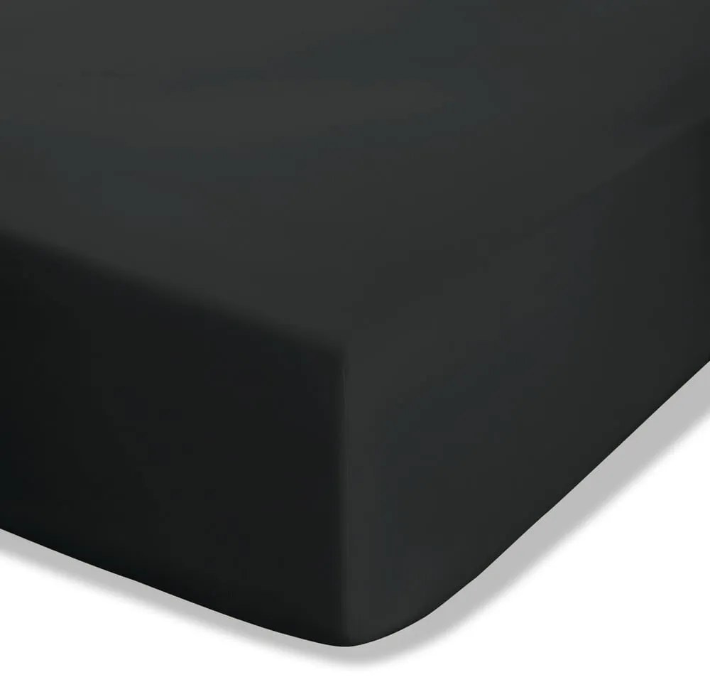 Čierna napínacia perkálová plachta 90x190 cm Easy Iron Percale – Catherine Lansfield
