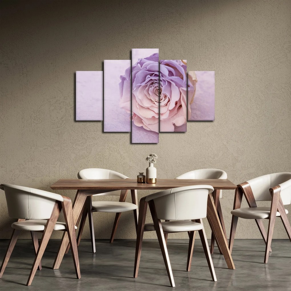 Obraz detailu kvetu ruže (150x105 cm)