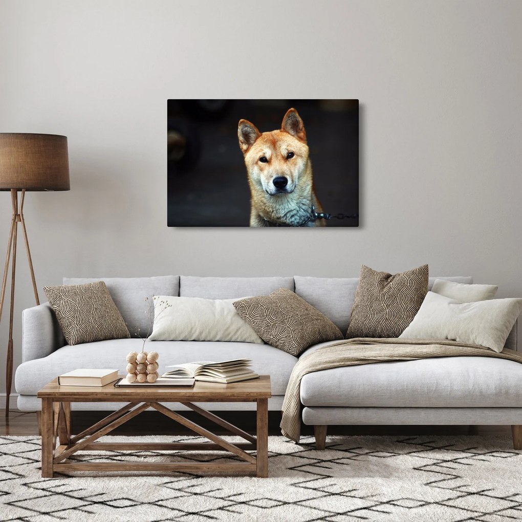 Obraz psa (90x60 cm)