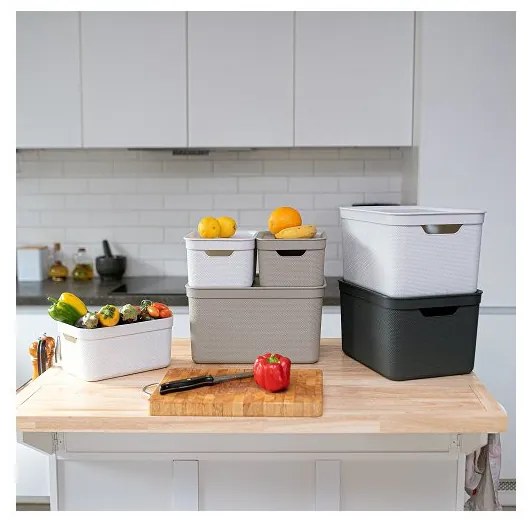 Rotho Úložný dekoratívny box s vekom DECO JIVE 5 l - cappuccino, 26 x 18 x 13