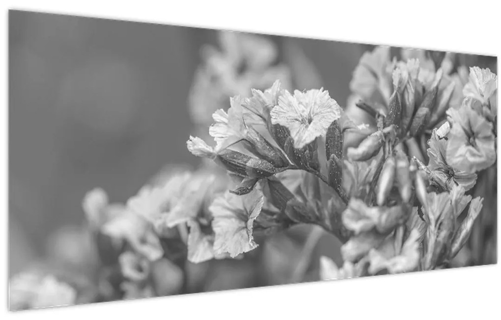 Obraz - Sušené kvety (120x50 cm)