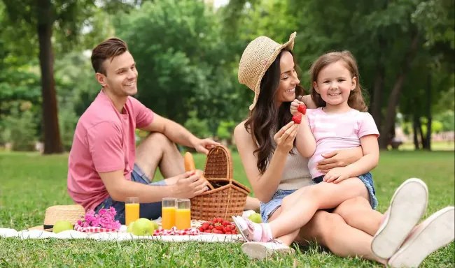 Pikniková deka károvaná, sivá