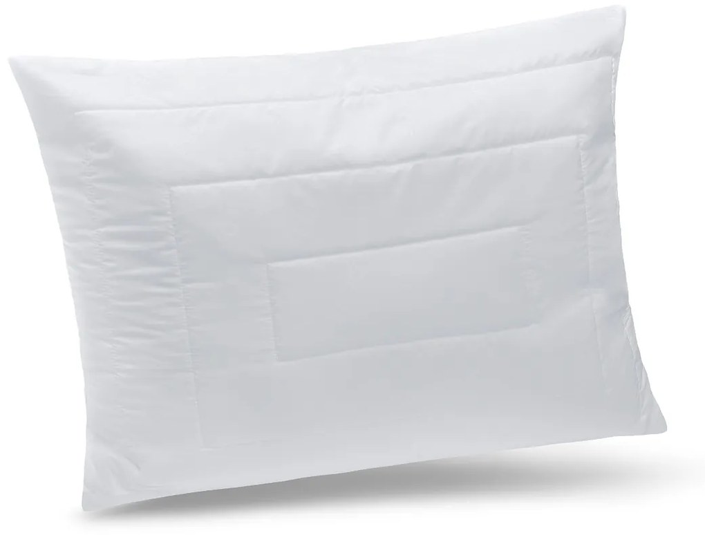 Aloe Vera Lux,Winter zimný set prikrývka+vankúš 140x200/70x90 cm , Prírodná náplň