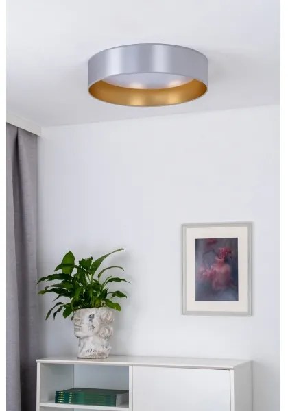 Duolla - LED Stropné svietidlo ROLLER LED/24W/230V pr. 45 cm strieborná/zlatá