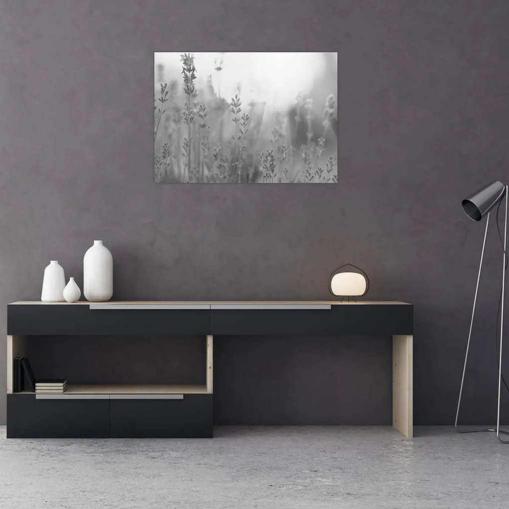 Sklenený obraz - Levanduľa (70x50 cm)