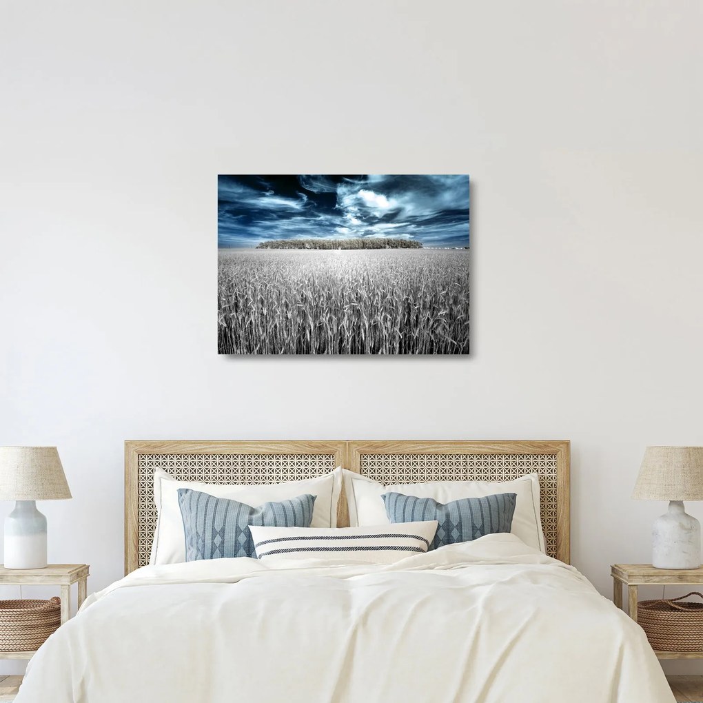 Sklenený obraz pole (70x50 cm)