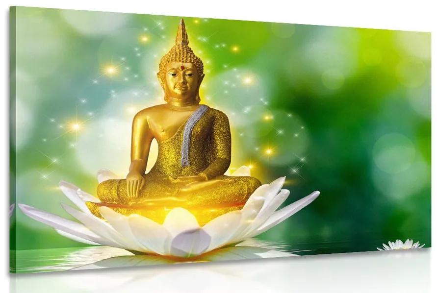 Obraz zlatý Budha na lotosovom kvete Varianta: 120x80