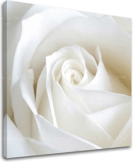 Obraz na stenu KVETY XOBKV103E12 - 30x30 cm