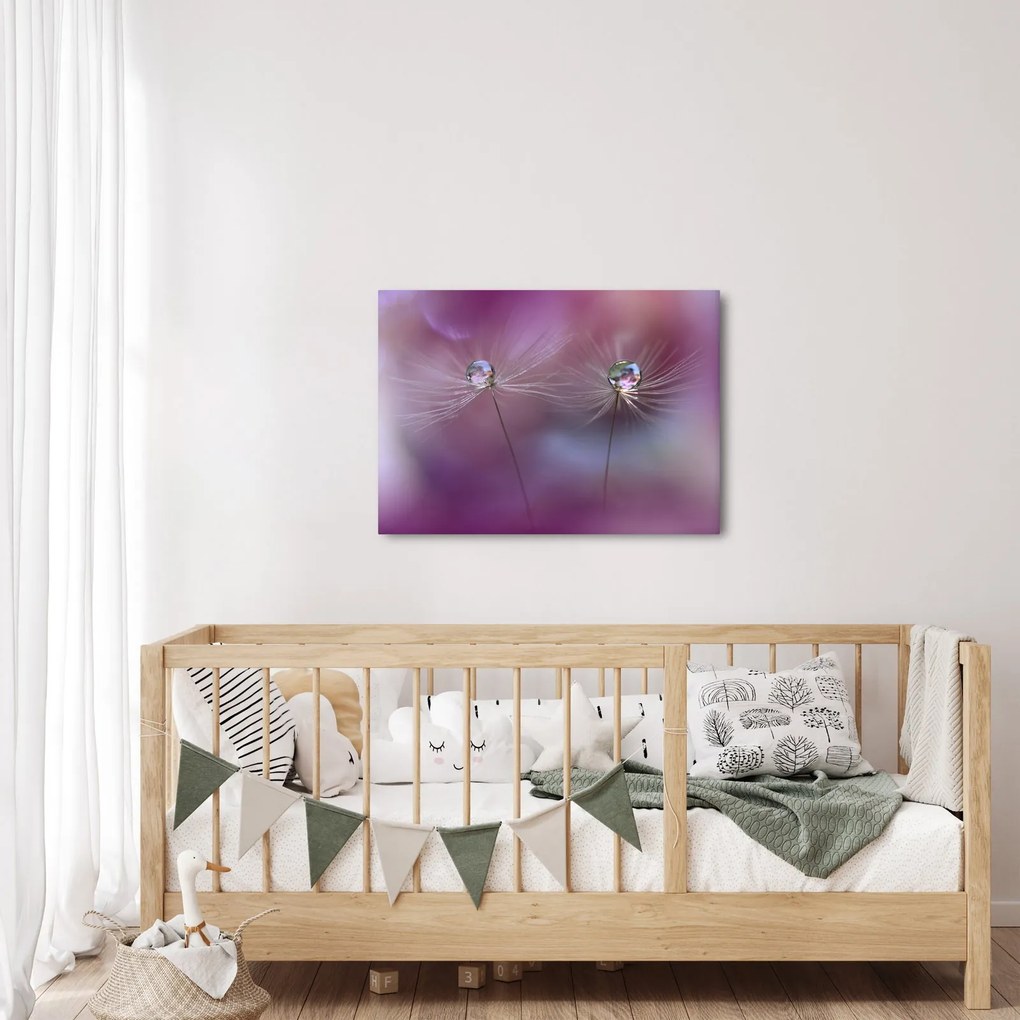 Obraz kvapôčok na páperí (70x50 cm)