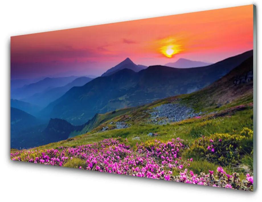 Skleneny obraz Hory lúka kvety príroda 125x50 cm