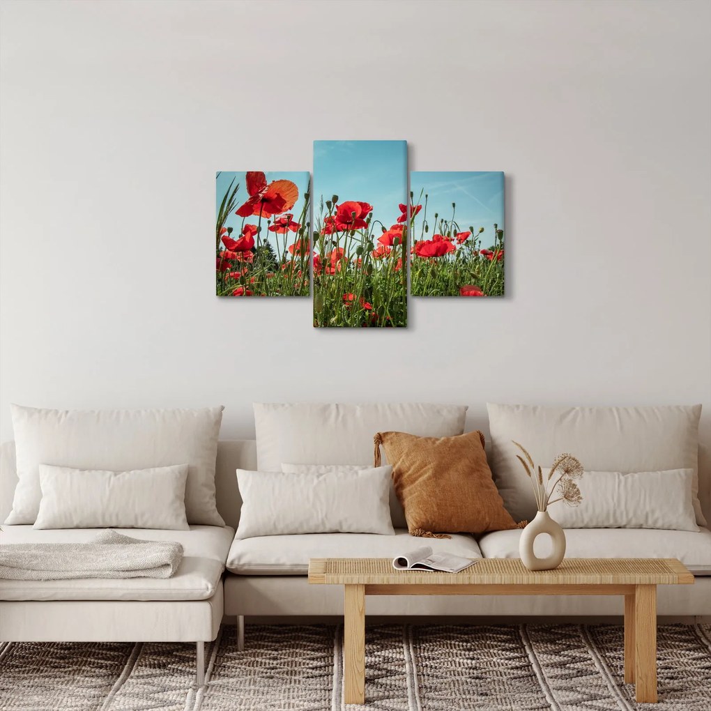Obraz - Na poli vlčích makov (90x60 cm)