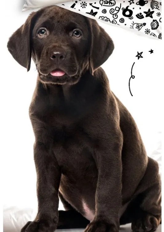 Bavlnené obliečky Šteniatko Hnedý Labrador 140x200/70x90 cm