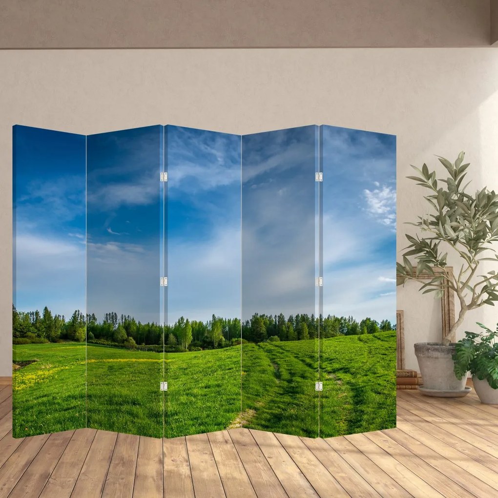 Paraván - Lúka (210x170 cm)