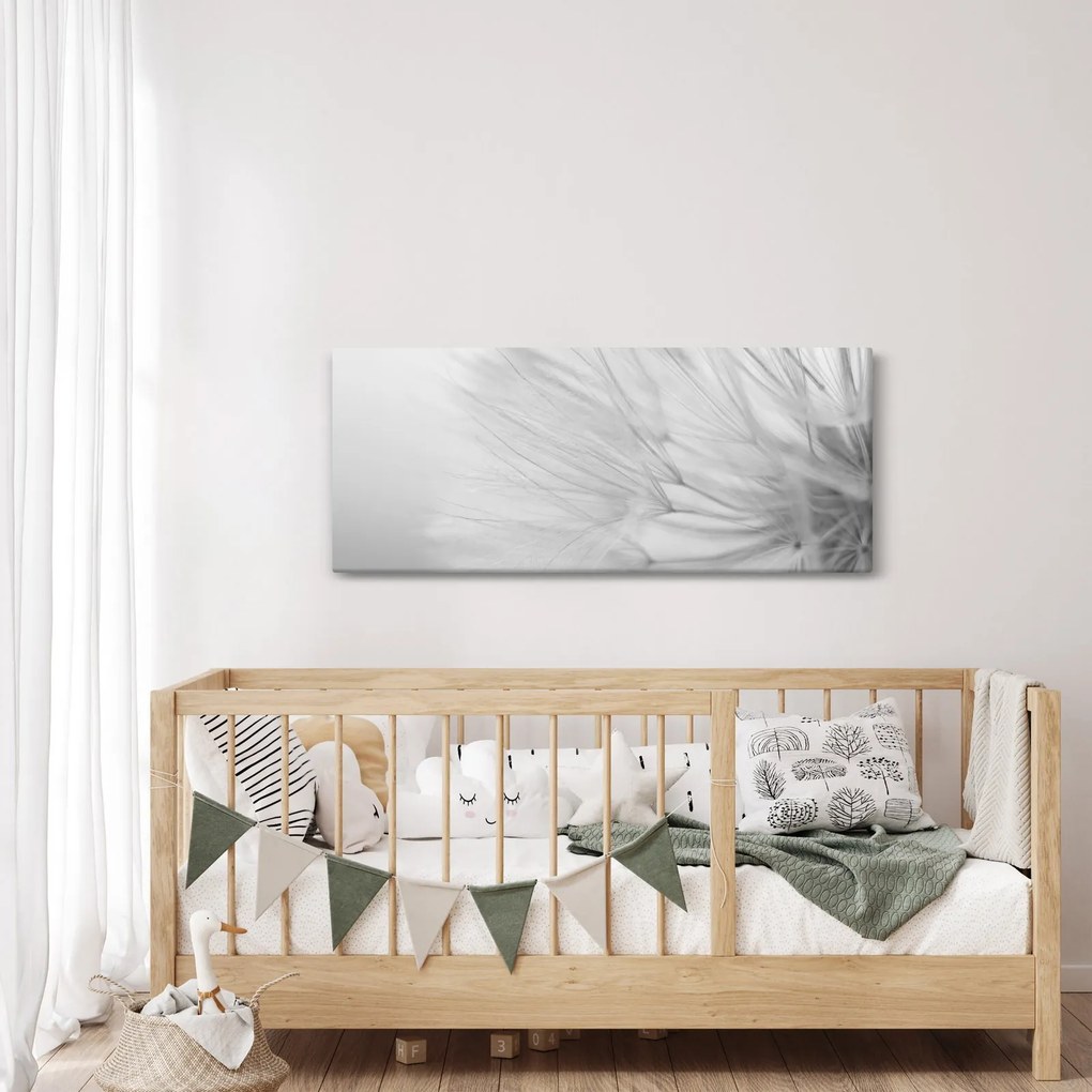 Obraz - Púpava (120x50 cm)