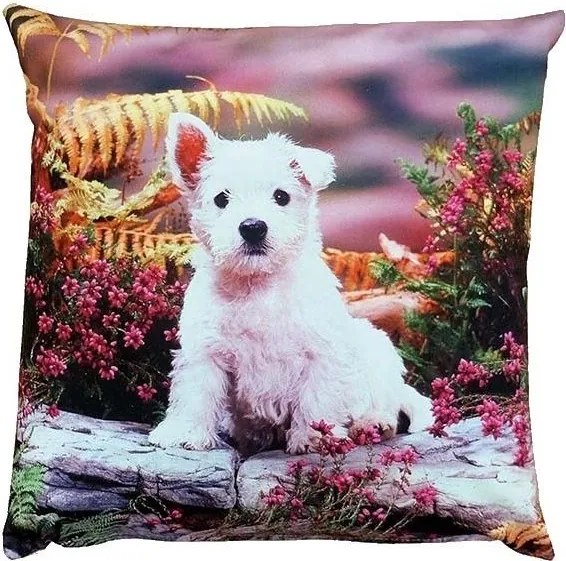Vankúšová obliečka Biely psík 40 × 40 cm