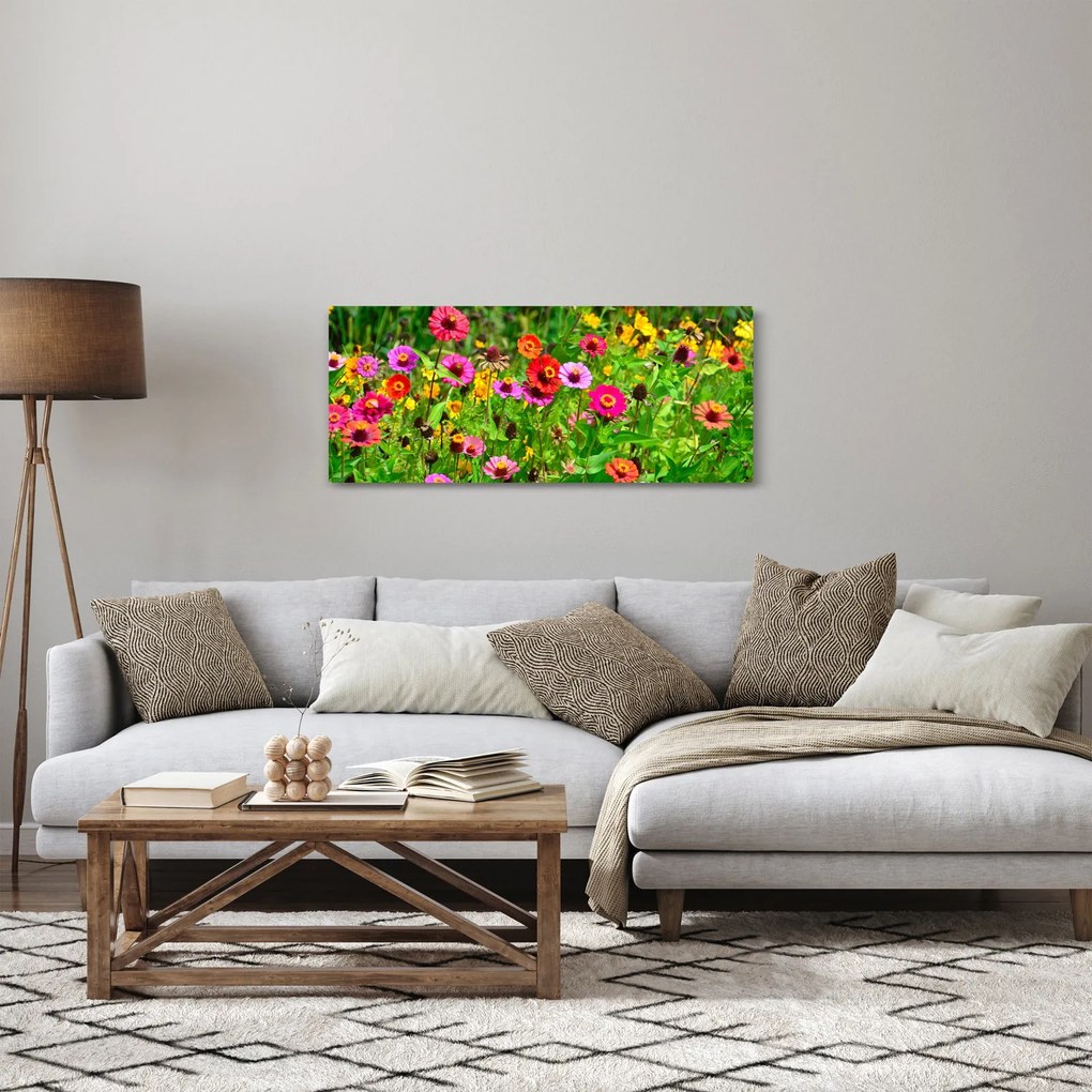 Obraz lúčnych kvetov (120x50 cm)