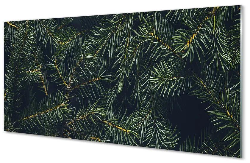 Obraz na akrylátovom skle Vianočný strom vetvičky 140x70 cm