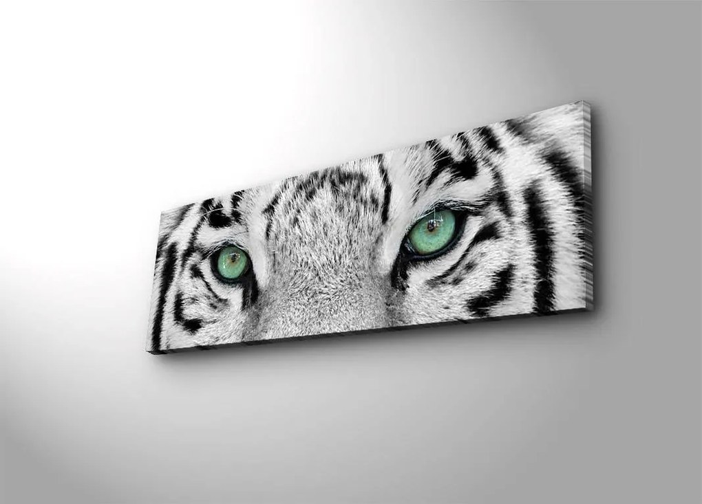 Obraz s led osvetlením White Tiger 90x30 cm