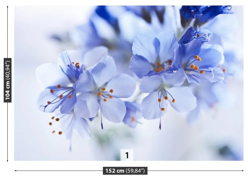 Fototapeta Vliesová Modré kvety 312x219 cm