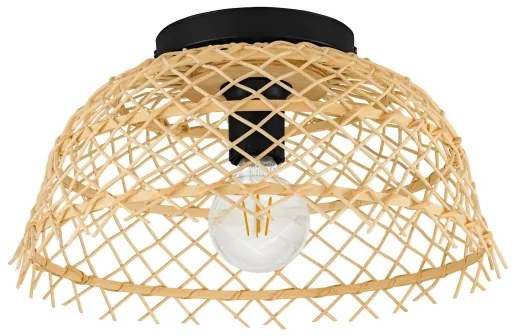 Eglo 43831 - Stropné svietidlo AUSNBY 1xE27/40W/230V