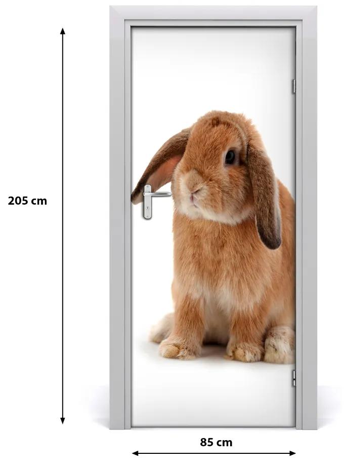 Samolepiace fototapety na dvere králik 85x205 cm