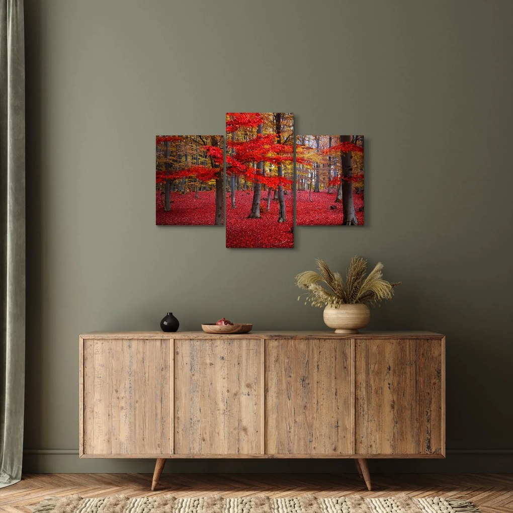 Obraz - Červený les (90x60 cm)