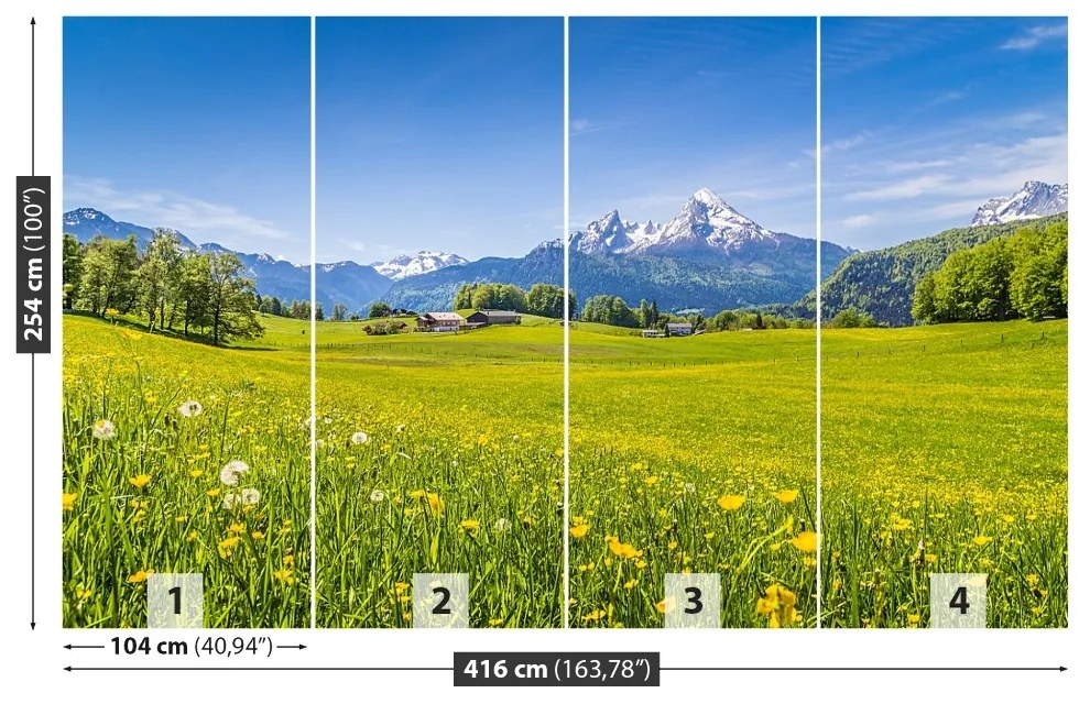 Fototapeta Vliesová Alpské lúky 250x104 cm