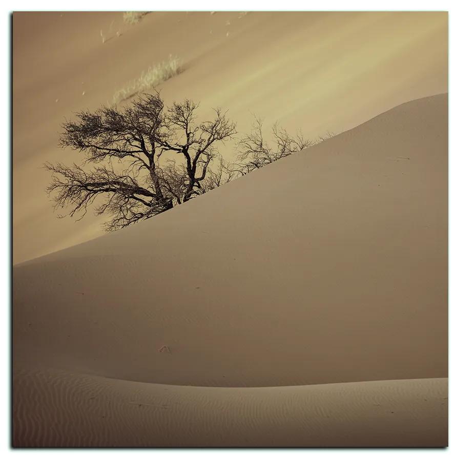 Obraz na plátne - Červené piesočné duny - štvorec 3133FA (50x50 cm)