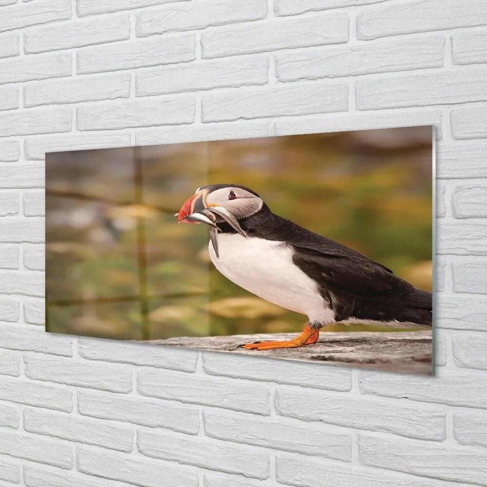 Sklenený obraz Papagáj 125x50 cm