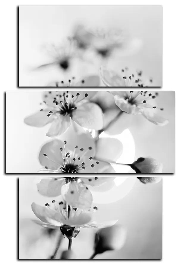 Obraz na plátne - Malé kvety na vetve - obdĺžnik 7173QC (90x60 cm)